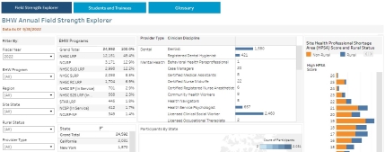 Screenshot of the health workforce dashboard